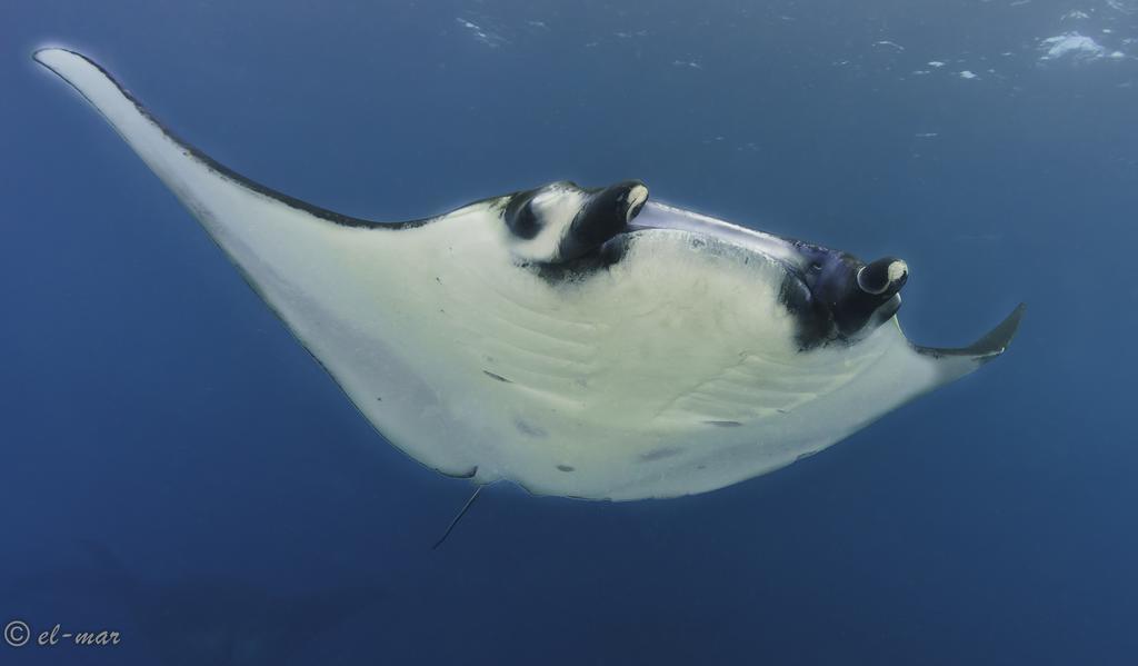 Kubu Indah Dive & Spa Resort Tulamben Εξωτερικό φωτογραφία